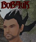 BoB4uK